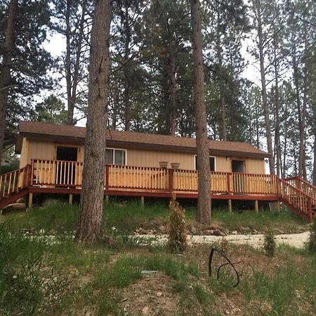 New Cabin 1 Car Rental Available Custer Εξωτερικό φωτογραφία